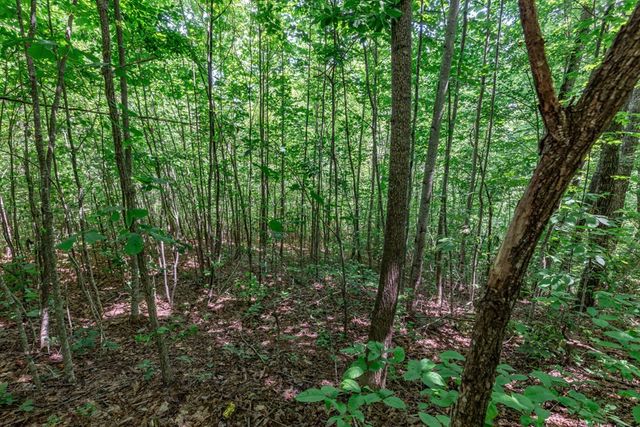Lot 111C Puett Cove Estates, Marble, NC 28905