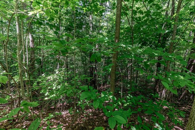 Lot 111C Puett Cove Estates, Marble, NC 28905