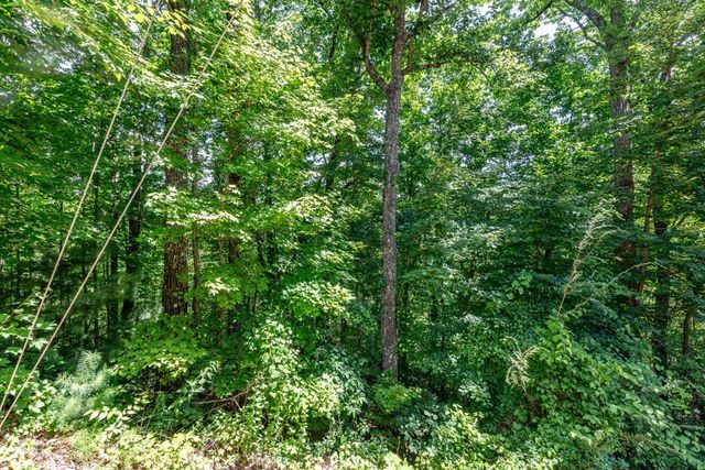 Lot 111C Puett Cove Estates, Marble, NC 28905