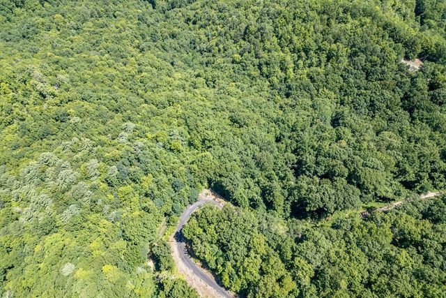 Lot 111C Puett Cove Estates, Marble, NC 28905