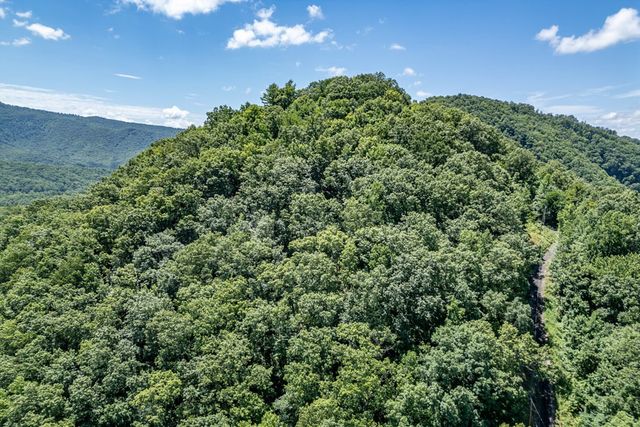 Lot 111C Puett Cove Estates, Marble, NC 28905