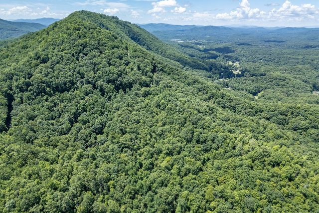 Lot 111C Puett Cove Estates, Marble, NC 28905