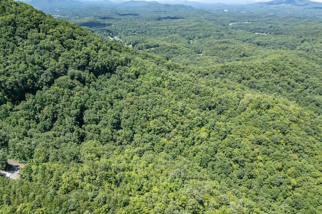 Lot 111C Puett Cove Estates, Marble, NC 28905