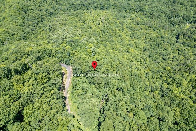 Lot 111C Puett Cove Estates, Marble, NC 28905