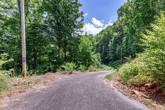Lot 111C Puett Cove Estates, Marble, NC 28905