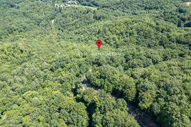 Lot 111C Puett Cove Estates, Marble, NC 28905
