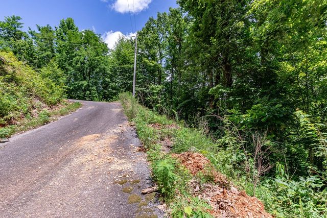 Lot 111C Puett Cove Estates, Marble, NC 28905