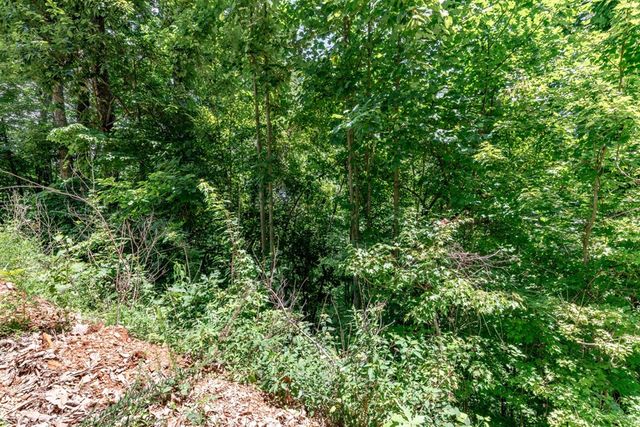 Lot 111C Puett Cove Estates, Marble, NC 28905