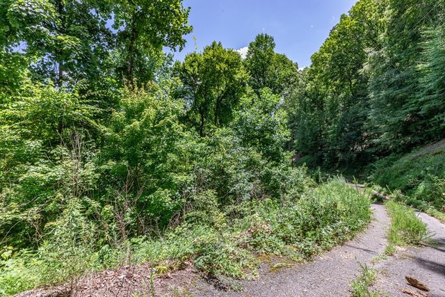 Lot 111C Puett Cove Estates, Marble, NC 28905