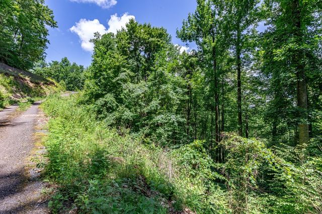Lot 111C Puett Cove Estates, Marble, NC 28905