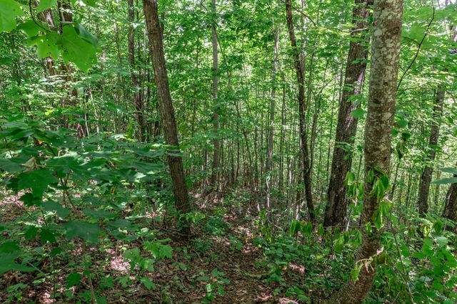 Lot 111C Puett Cove Estates, Marble, NC 28905