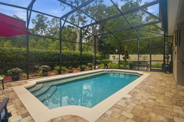 517 MORGAN WOOD DRIVE, Deland, FL 32724