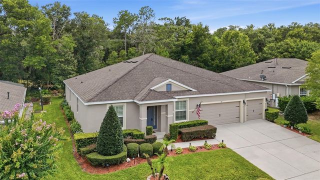 517 MORGAN WOOD DRIVE, Deland, FL 32724