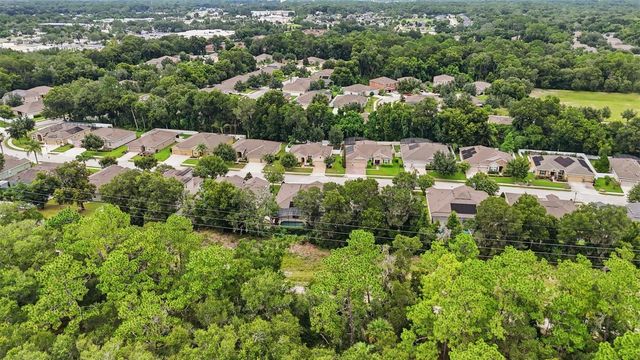 517 MORGAN WOOD DRIVE, Deland, FL 32724