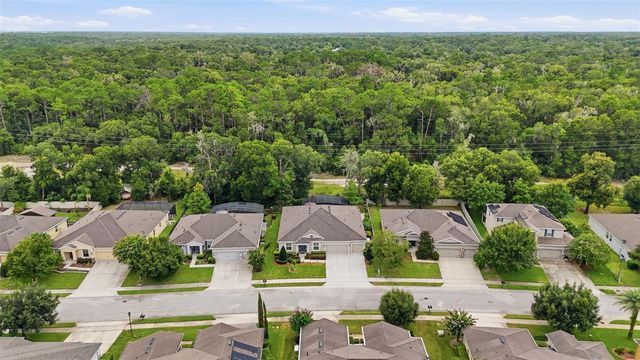 517 MORGAN WOOD DRIVE, Deland, FL 32724