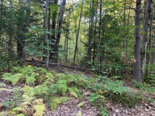 21 Quimby Drive # 21, Northwood, NH 03261