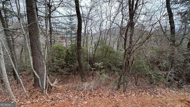 LOT 121 Doolittle Drive, Clayton, GA 30525