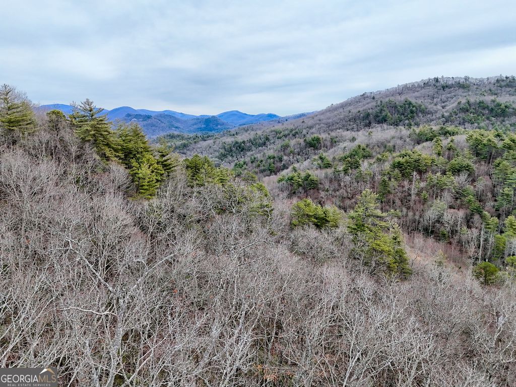LOT 121 Doolittle Drive, Clayton, GA 30525 — photo 2