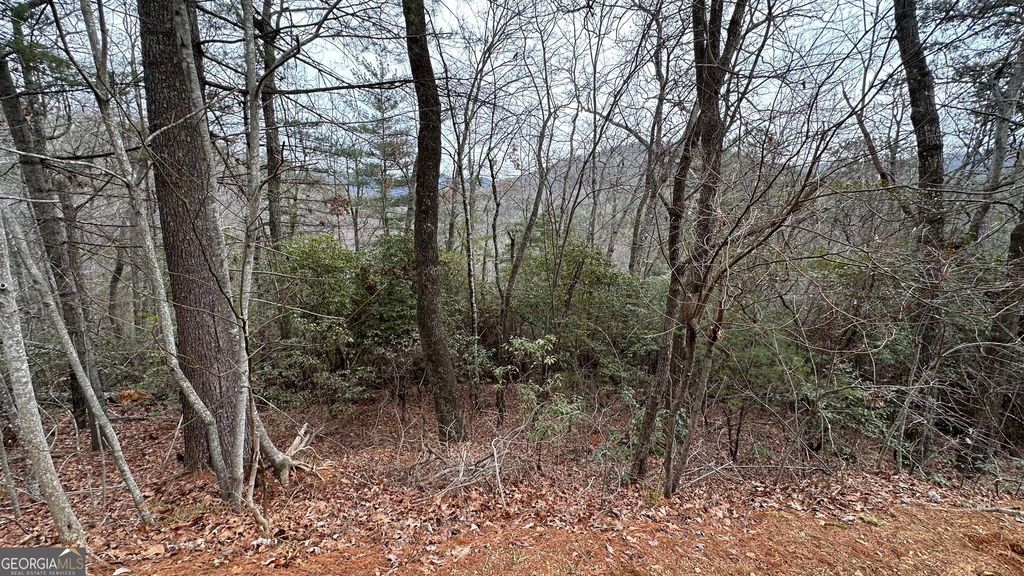 LOT 121 Doolittle Drive, Clayton, GA 30525 — photo 3