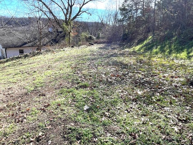 13 Cynder Lane, Anderson, MO 64831