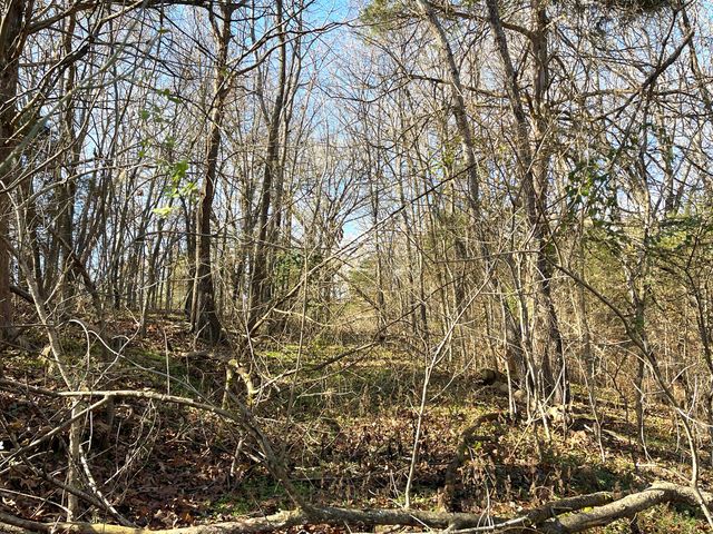 13 Cynder Lane, Anderson, MO 64831