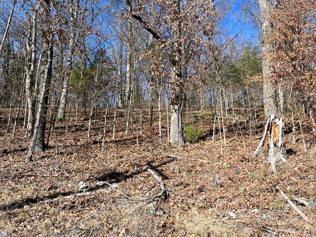 13 Cynder Lane, Anderson, MO 64831