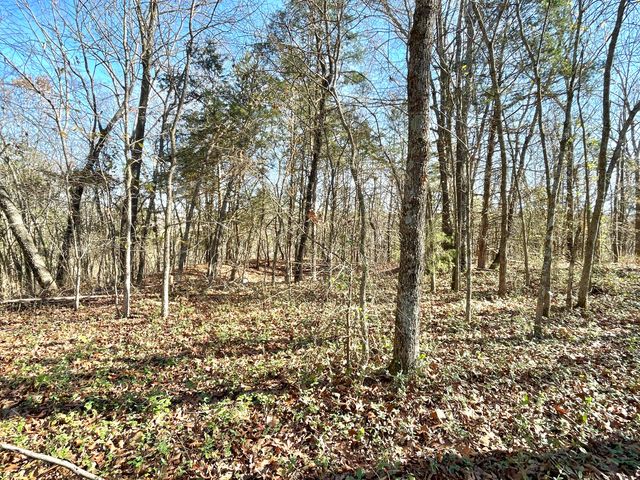 13 Cynder Lane, Anderson, MO 64831