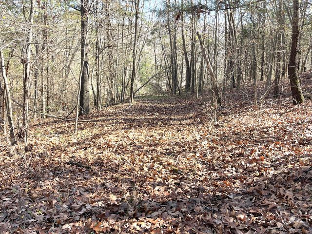 13 Cynder Lane, Anderson, MO 64831