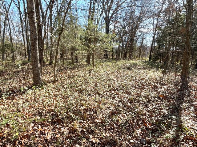 13 Cynder Lane, Anderson, MO 64831