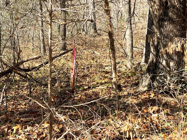 13 Cynder Lane, Anderson, MO 64831