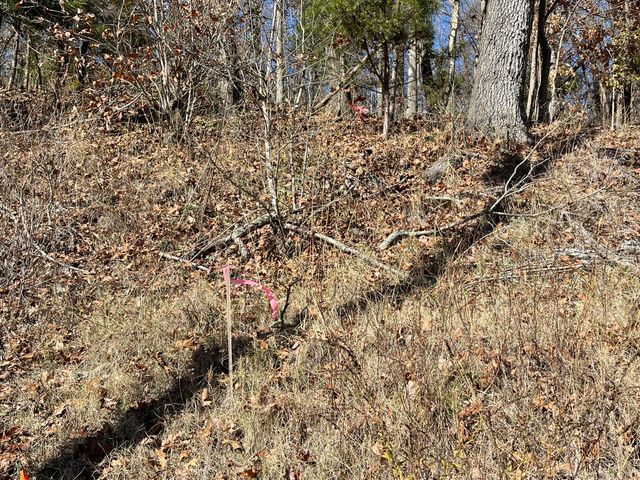 13 Cynder Lane, Anderson, MO 64831