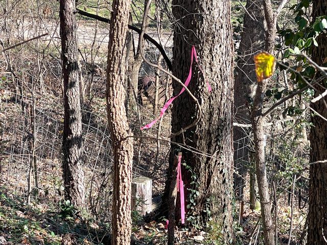 13 Cynder Lane, Anderson, MO 64831