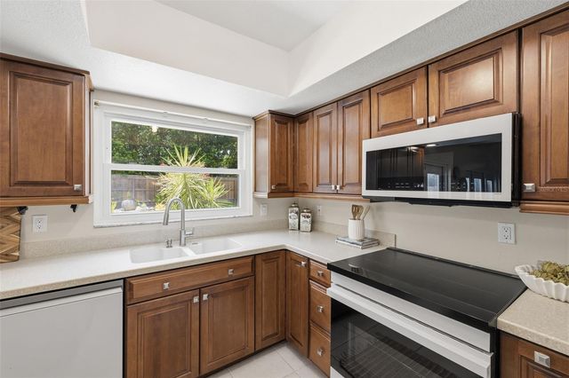 11007 THERESA ARBOR DRIVE, Tampa, FL 33617