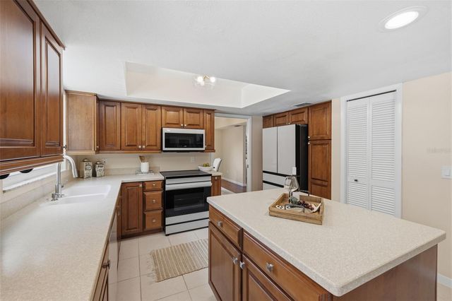 11007 THERESA ARBOR DRIVE, Tampa, FL 33617