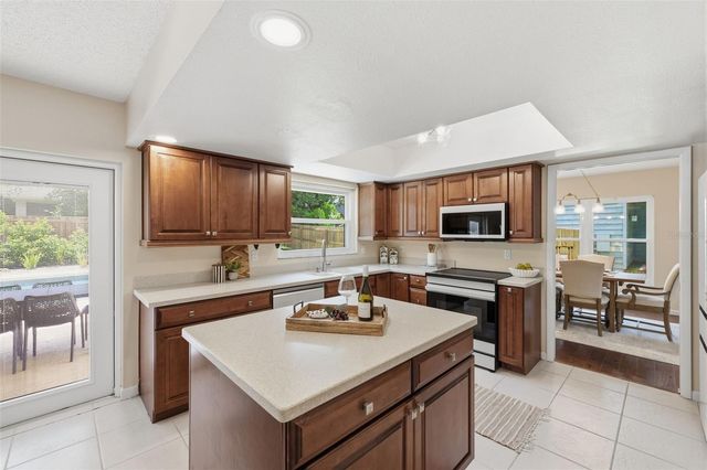 11007 THERESA ARBOR DRIVE, Tampa, FL 33617