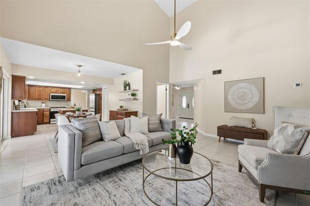 11007 THERESA ARBOR DRIVE, Tampa, FL 33617