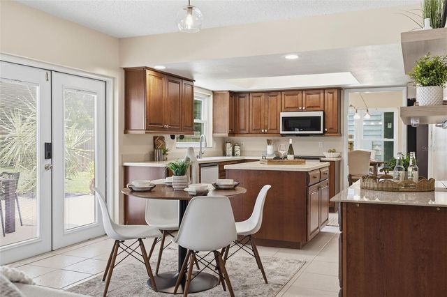 11007 THERESA ARBOR DRIVE, Tampa, FL 33617