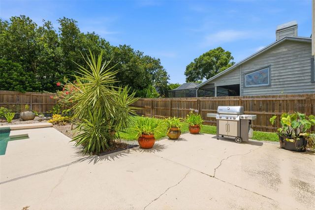11007 THERESA ARBOR DRIVE, Tampa, FL 33617
