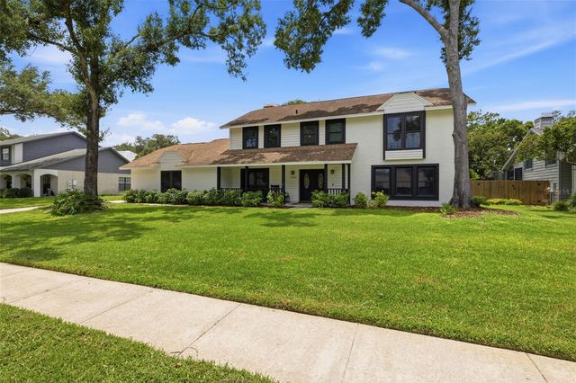 11007 THERESA ARBOR DRIVE, Tampa, FL 33617