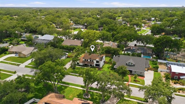 11007 THERESA ARBOR DRIVE, Tampa, FL 33617