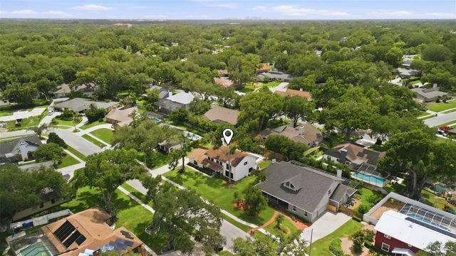11007 THERESA ARBOR DRIVE, Tampa, FL 33617