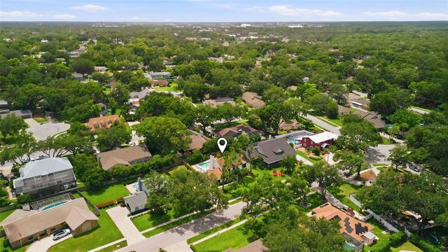 11007 THERESA ARBOR DRIVE, Tampa, FL 33617