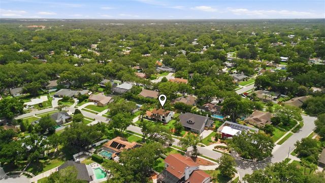 11007 THERESA ARBOR DRIVE, Tampa, FL 33617