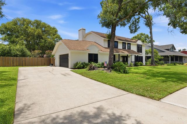 11007 THERESA ARBOR DRIVE, Tampa, FL 33617