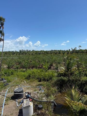 122 ave sw 330 st, Homestead, FL 33035