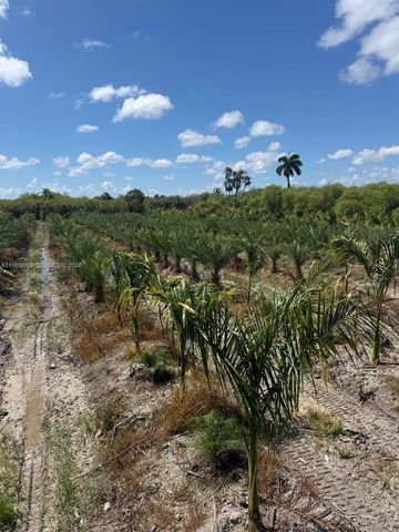 122 ave sw 330 st, Homestead, FL 33035