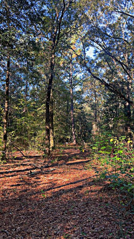 8092 Highway 393, Laurel Hill, FL 32567