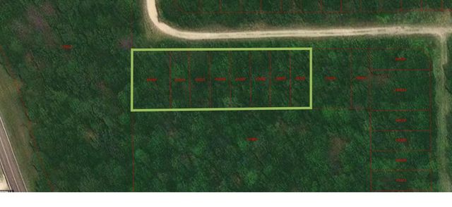 100 Wood Forest, Livingston, TX 77351