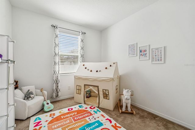 33102 SHADOW BRANCH LANE, Wesley Chapel, FL 33545