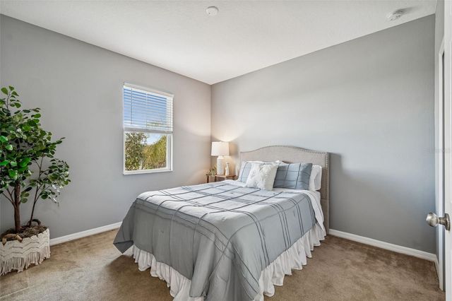 33102 SHADOW BRANCH LANE, Wesley Chapel, FL 33545